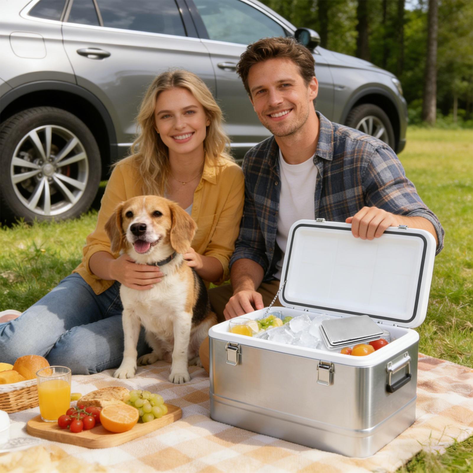 2pcs Stainless Steel Ice Packs - Camping Cooking Box review and price